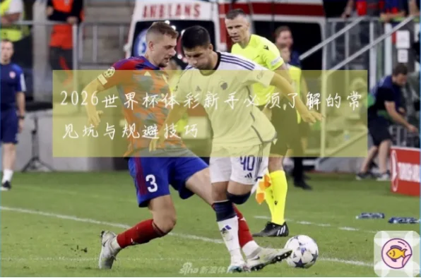体彩 世界杯新手如何避免亏损陷阱
