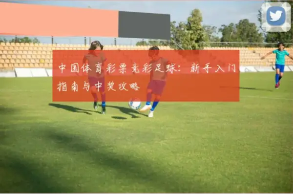 体育彩票竞彩网新手如何快速上手投注